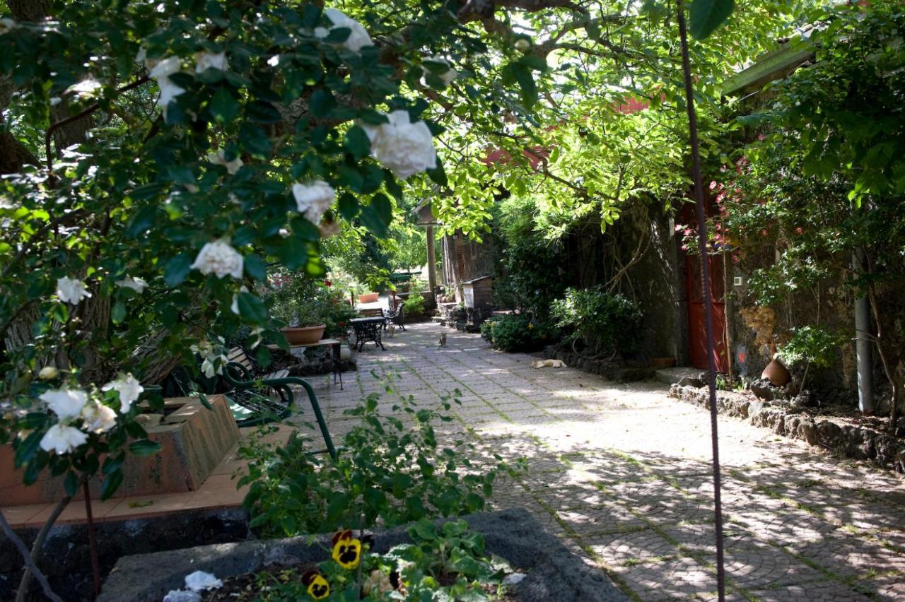 SantʼAlfio Cirasellaetnaヴィラ エクステリア 写真
